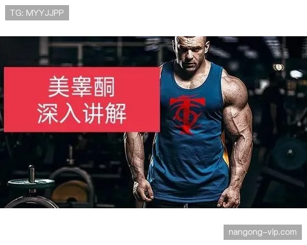 深入解析篮球加罚规则的判定与执行细则