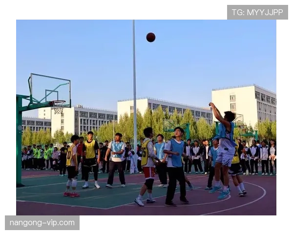 篮球比赛中的暂停时间限制,为何规则严格限制了使用时机?